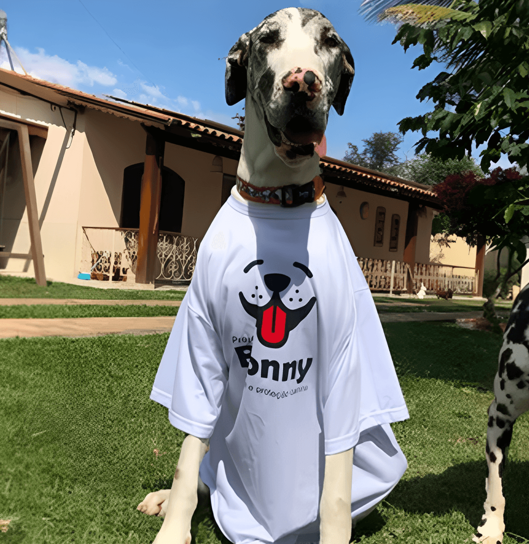 Cachorro resgatado pelo Projeto Bonny